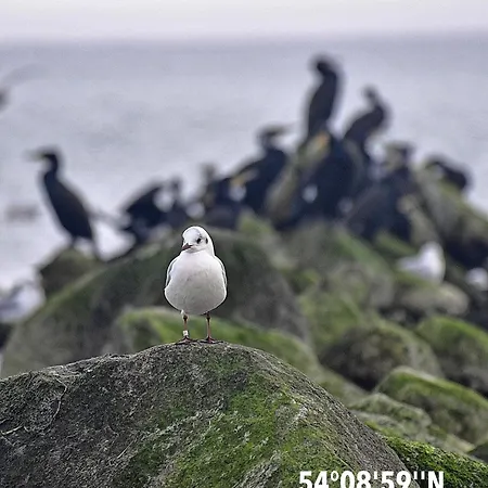 Strandnahes Design-wohlfuehlappartement - Urlaub Von Anfang An *